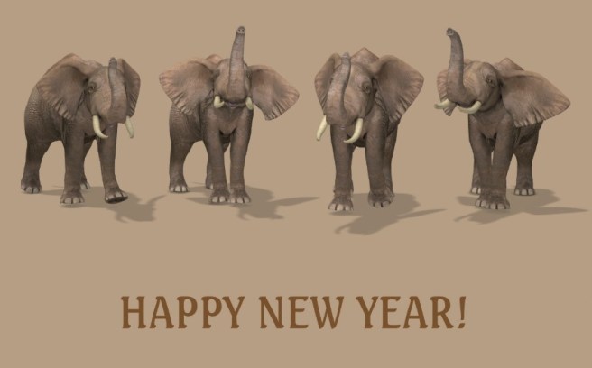 2016 elephant